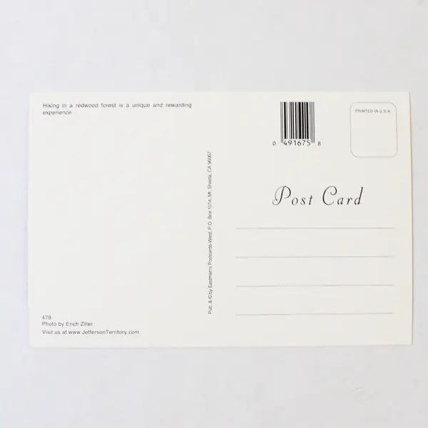 Lot Of 2 California Redwoods Redwood Empire Color Postcards