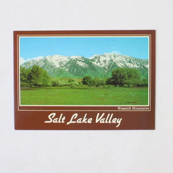 Lot Of 3 VTG Utah Postcards Salt Lake Valley Temple Square Devil's Slide