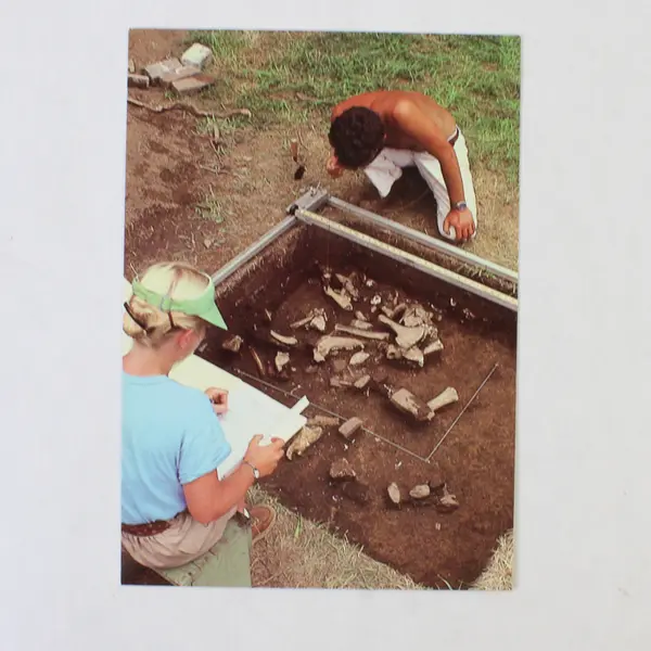 Lot Of 3 Vintage St Mary's City Maryland Postcards Historical Buildings 