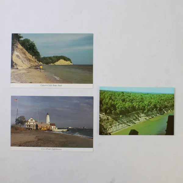 Lot Of 3 Vintage Calvert County Maryland Postcards Lighthouse Calvert Cliffs