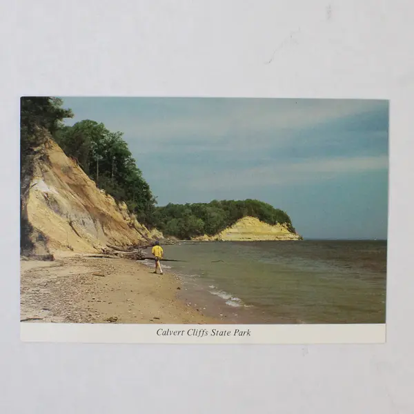 Lot Of 3 Vintage Calvert County Maryland Postcards Lighthouse Calvert Cliffs