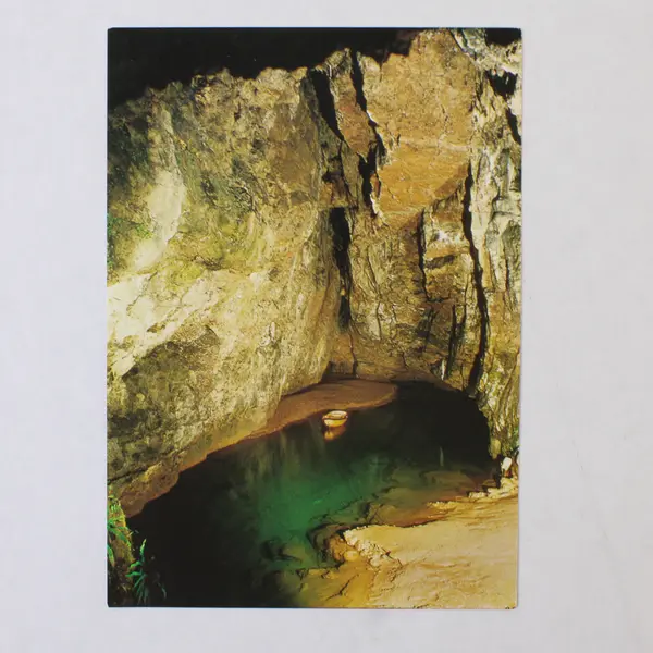 Lot Of 3 Vintage Wookey Hole Somerset Postcards Carousel Witches Cave