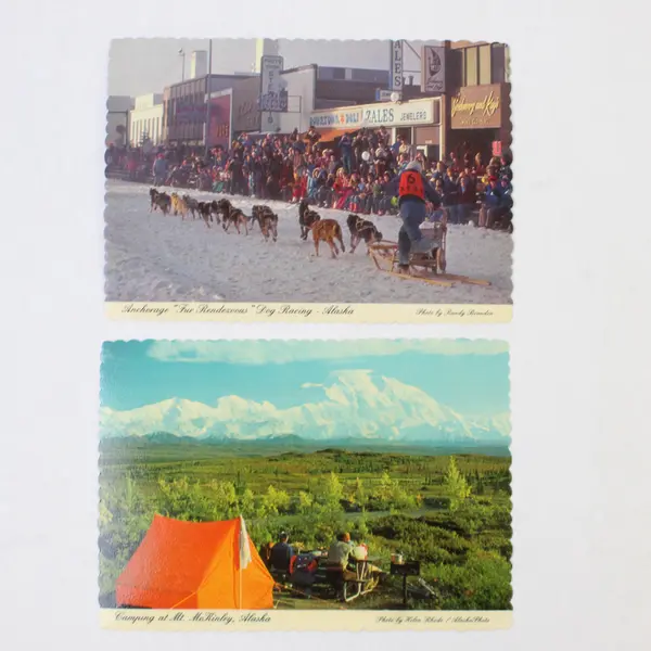 Lot Of 2 Vintage Alaska Postcards Anchorage Dog Sled Race Mt McKinley Camping