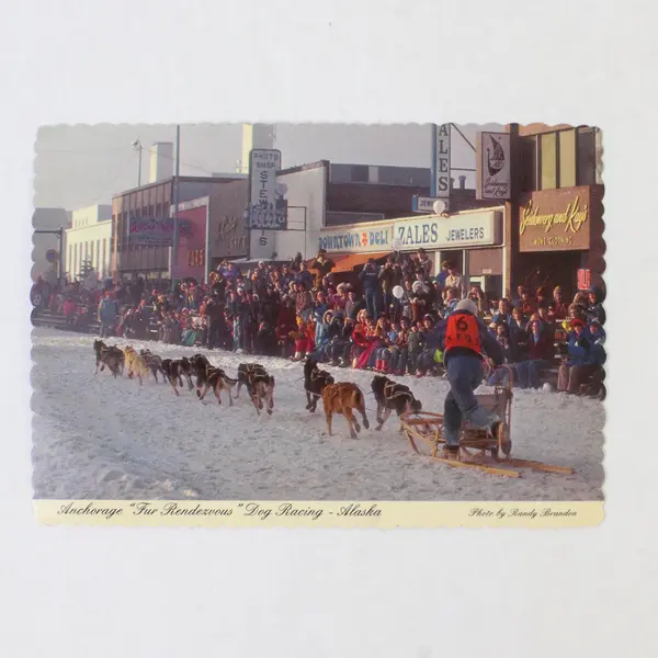 Lot Of 2 Vintage Alaska Postcards Anchorage Dog Sled Race Mt McKinley Camping