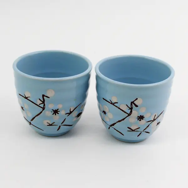 Sky Blue Ceramic Asian-Design Teapot w/Strainer and 2 x Matching Cups 
