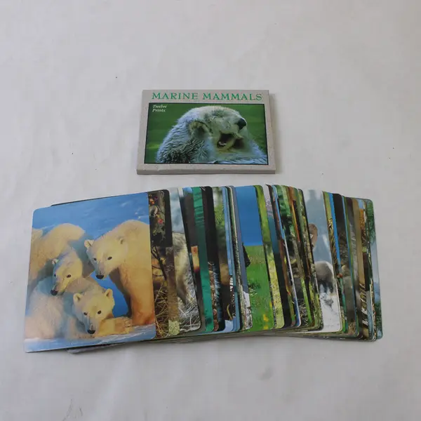 Wildlife Photograph Print Card Set 59 Full-Color Photo Cards