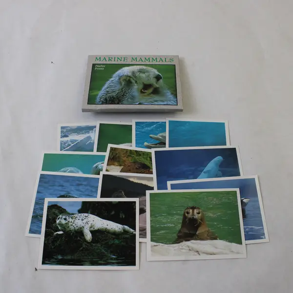 Wildlife Photograph Print Card Set 59 Full-Color Photo Cards