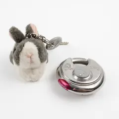 Chateau C99X Stainless Steel Round Security Lock w/ Key & Rabbit Keychain