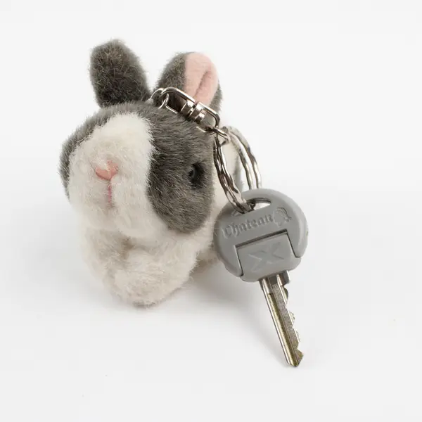 Chateau C99X Stainless Steel Round Security Lock w/ Key & Rabbit Keychain
