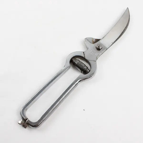 Vintage Engraved Eagle Head Poultry Shears 10.5" Kitchen Cutters Knife