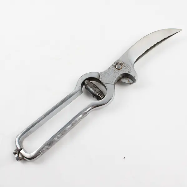 Vintage Engraved Eagle Head Poultry Shears 10.5" Kitchen Cutters Knife