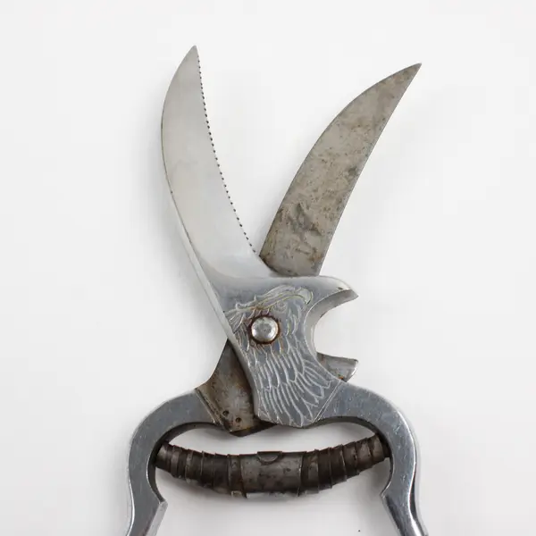 Vintage Engraved Eagle Head Poultry Shears 10.5" Kitchen Cutters Knife