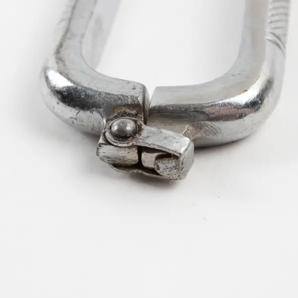 Vintage Engraved Eagle Head Poultry Shears 10.5" Kitchen Cutters Knife