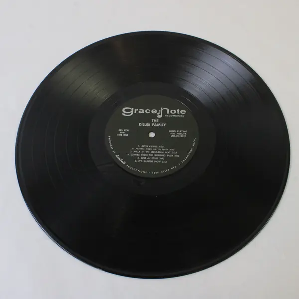 The Diller Family 12" Vinyl Record