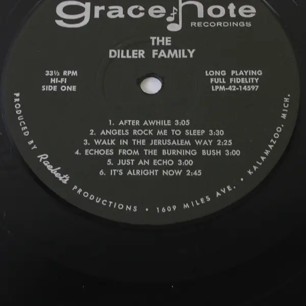 The Diller Family 12" Vinyl Record