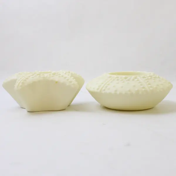PartyLite Sea Drifters Bisque Porcelain Tea Light Holders Star & Urchin Set