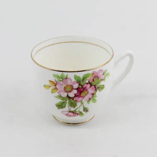 Duchess Bone China England Pink Wild Rose Floral Teacup