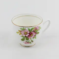 Duchess Bone China England Pink Wild Rose Floral Teacup