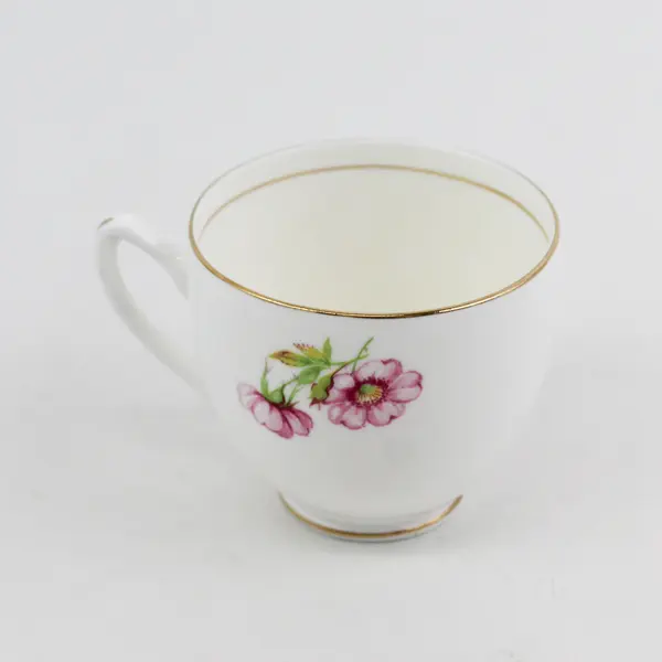 Duchess Bone China England Pink Wild Rose Floral Teacup