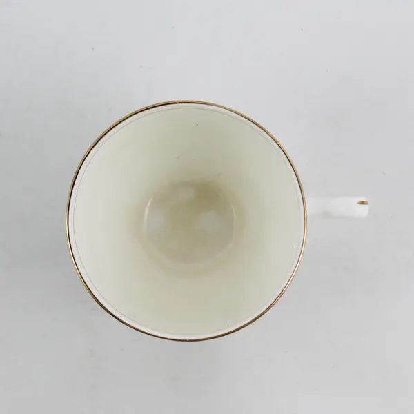 Duchess Bone China England Pink Wild Rose Floral Teacup