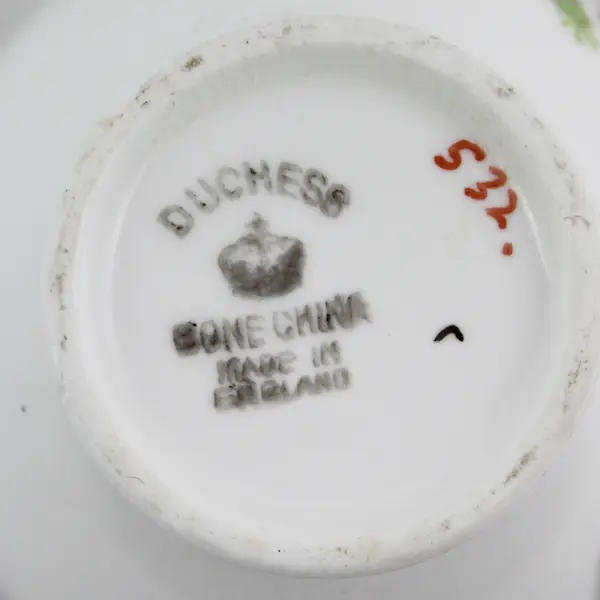 Duchess Bone China England Pink Wild Rose Floral Teacup