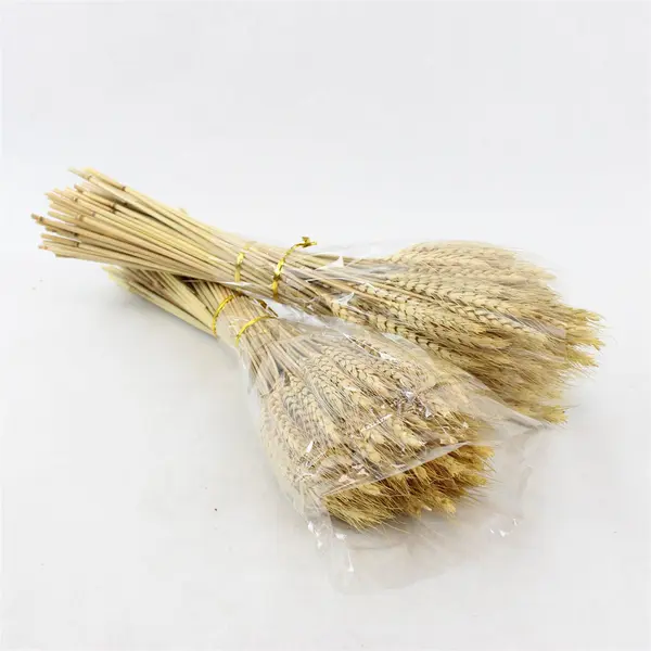 100 Stems Dried Natural Wheat Stalks Bundle for Crafts Home Decor 16.5in