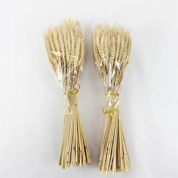 100 Stems Dried Natural Wheat Stalks Bundle for Crafts Home Decor 16.5in