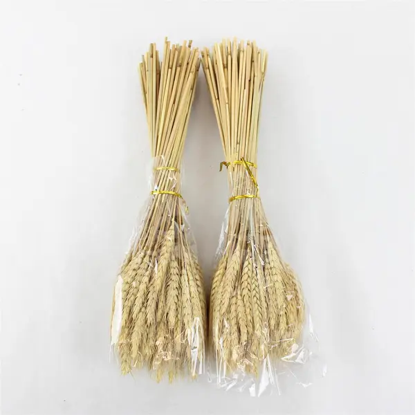 100 Stems Dried Natural Wheat Stalks Bundle for Crafts Home Decor 16.5in