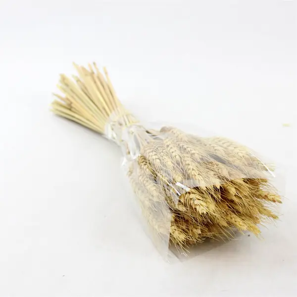 100 Stems Dried Natural Wheat Stalks Bundle for Crafts Home Decor 16.5in