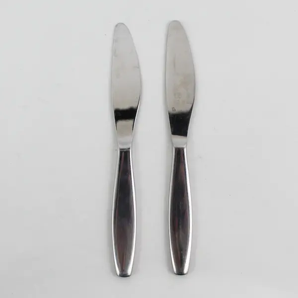 Lot Of 2 Gourmet Settings Cruise Pattern SS Butter Knives 7.25" Rare HTF Piece