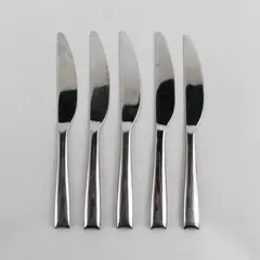 Lot of 5 Gourmet Settings Soprano Pattern SS Butter Knives 7.25" Rare HTF Piece
