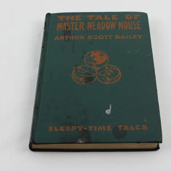 Antique Book The Tale of Master Meadow Mouse Arthur Scott Bailey 1921 Hardcover