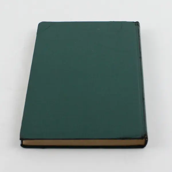 Antique Book The Tale of Master Meadow Mouse Arthur Scott Bailey 1921 Hardcover