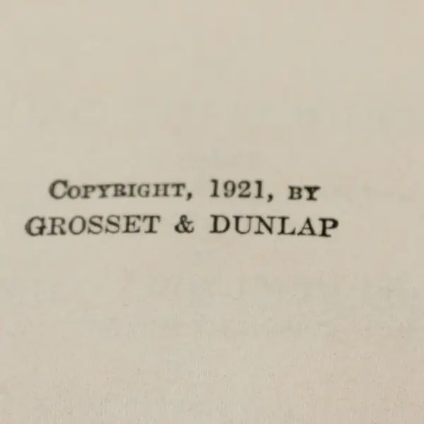 Antique Book The Tale of Master Meadow Mouse Arthur Scott Bailey 1921 Hardcover