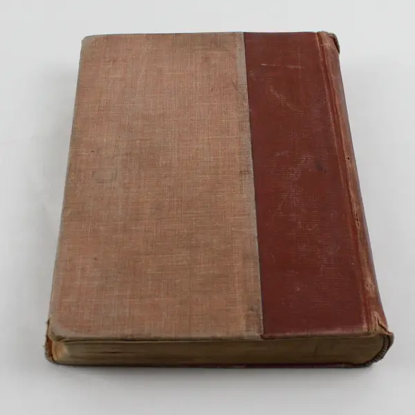 Antique Book The American Citizen by Charles F Dole Hardcover 1901 Acceptable 