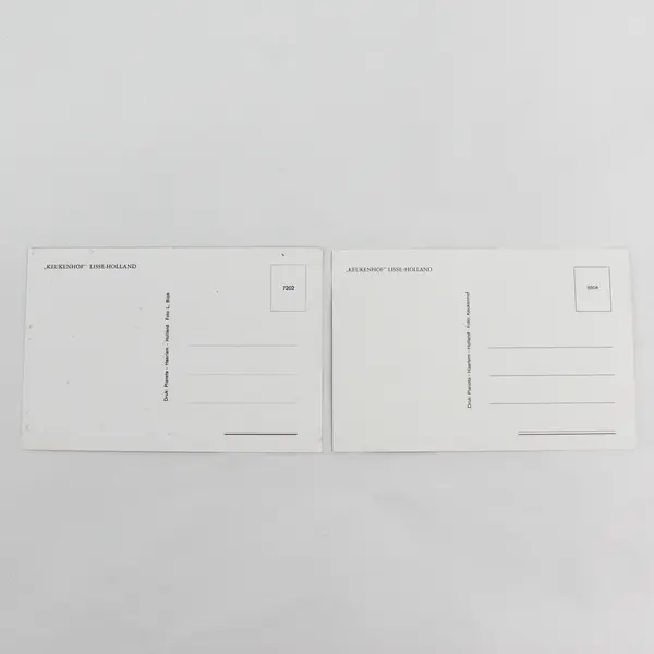 Lot Of 2 Vintage Keukenhof Tulip Gardens Lisse Holland Postcards