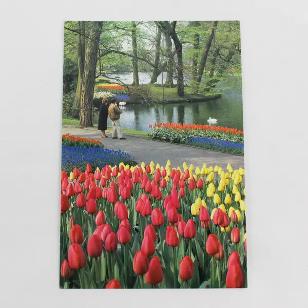Lot Of 2 Vintage Keukenhof Tulip Gardens Lisse Holland Postcards