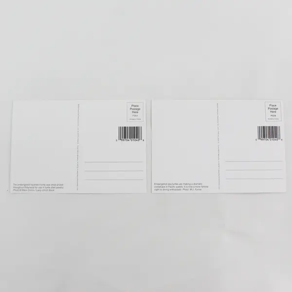 Lot Of 2 Vintage Hawaii Underwater Sea Turtle Postcards 