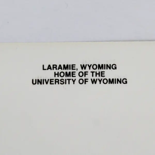 Vintage Laramie Wyoming Postcard Shoshone Distribution Company