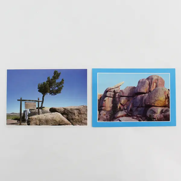 Lot Of 2 Wyoming Geological Postcards Vedauwoo Rock Tree Growing From Rock