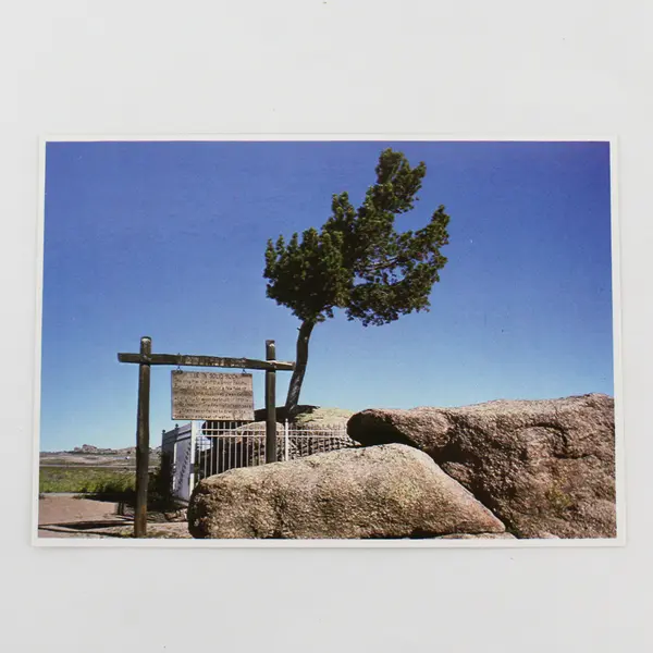 Lot Of 2 Wyoming Geological Postcards Vedauwoo Rock Tree Growing From Rock