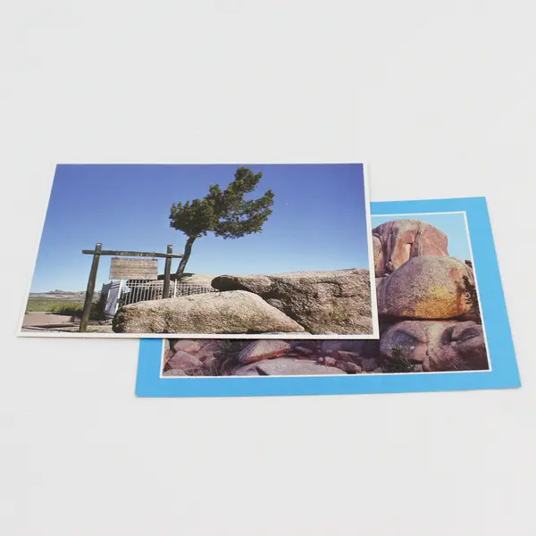 Lot Of 2 Wyoming Geological Postcards Vedauwoo Rock Tree Growing From Rock