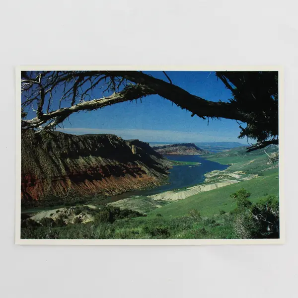 Lot Of 3 VTG Scenic Wyoming Postcards Sheep Creek Bay Mirror Lake Sinks Canyon