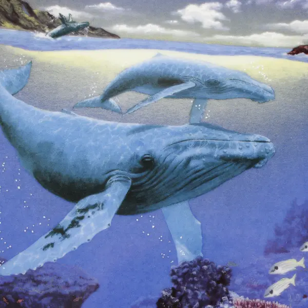 Reco "Our Cherished Seas" Whale Song By Sy Barlowe 1991 Decorative Plate 9.5"