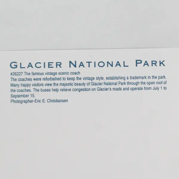  Vintage Coaches Glacier National Park Montana Postcard