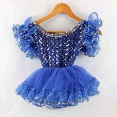 Unbranded Child's Size M Royal Blue Silver Sequined Leotard & Matching Tutu
