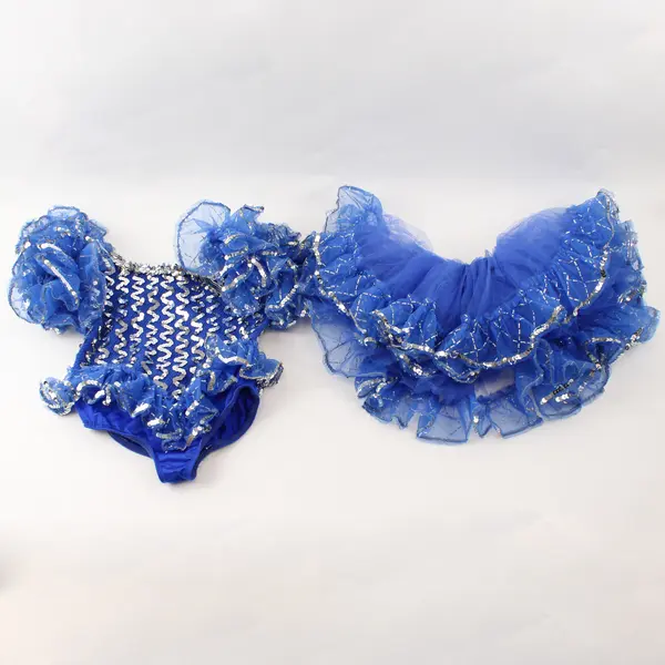 Unbranded Child's Size M Royal Blue Silver Sequined Leotard & Matching Tutu