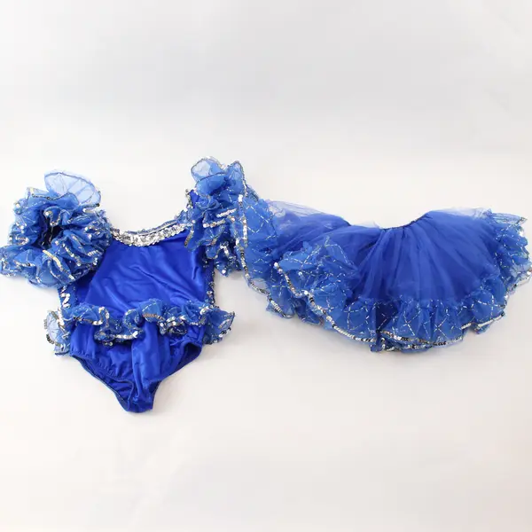 Unbranded Child's Size M Royal Blue Silver Sequined Leotard & Matching Tutu