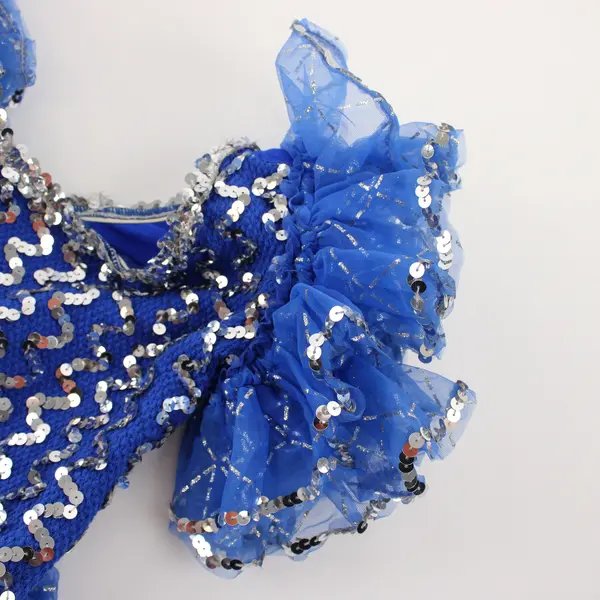 Unbranded Child's Size M Royal Blue Silver Sequined Leotard & Matching Tutu