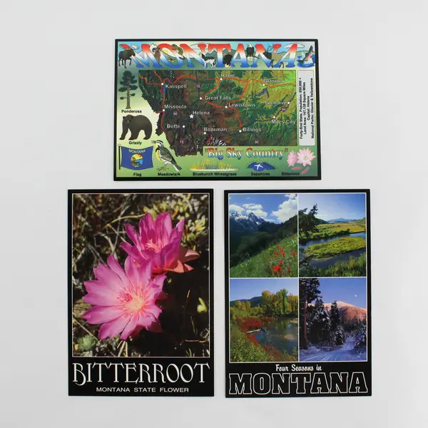 Lot Of 3 Vintage Montana Postcards Map Bitterroot Flower Four Seasons